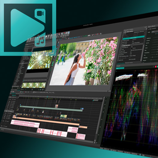 VSDC Video Editor Pro Review